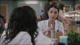 Greys Anatomy - Season 22 Episode 11